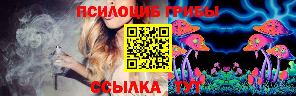 Псилоцибиновые грибы Psilocybine cubensis  наркотики  Новокуйбышевск  Вход с VPN 